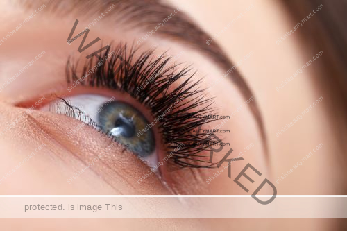 Close up shot of a woman's eye with luscious lashes