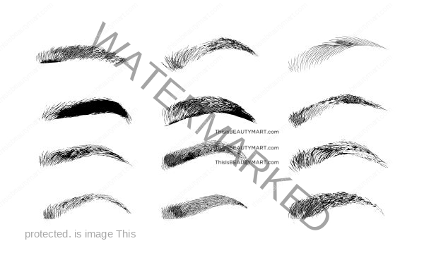 Illustrations of various eyebrows in different shapes and designs